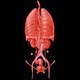 Image for article titled This awesome image may be found by aliens one day, floating in space
